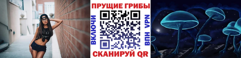 Псилоцибиновые грибы ЛСД  даркнет сайт  Чердынь 